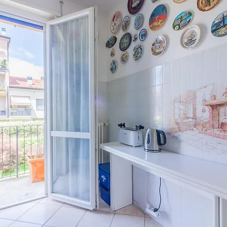 Sunflowers Mandello del Lario