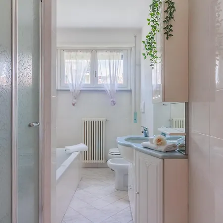 Sunflowers Mandello del Lario