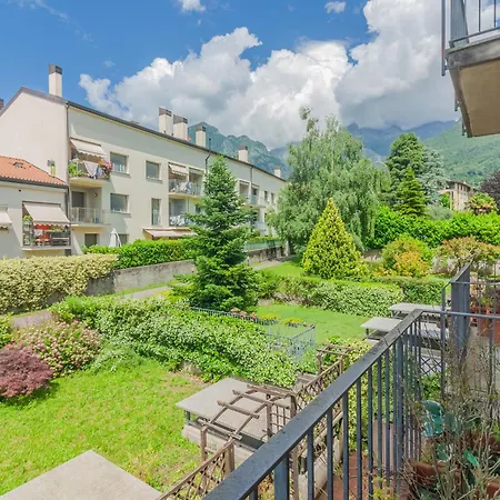 Sunflowers Mandello del Lario