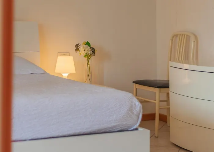 Sunflowers * 만델로델라리오