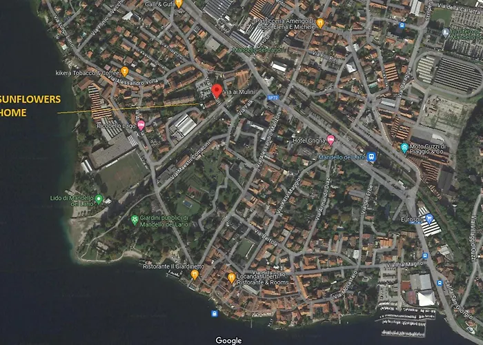 Sunflowers マンデッロ・デル・ラーリオ